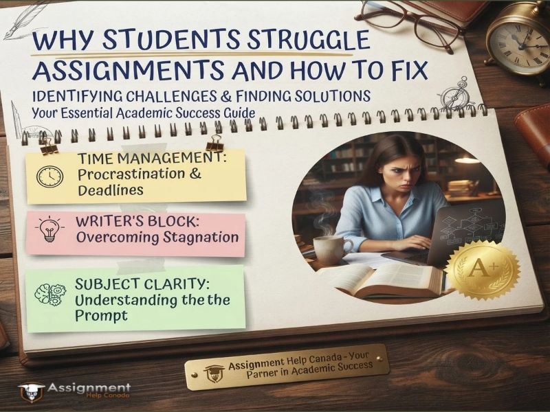 Why Students Struggle With Assignments and How to Fix It